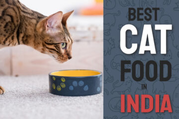 best cat food