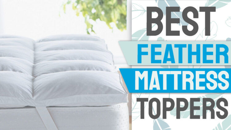 best feather mattress toppers