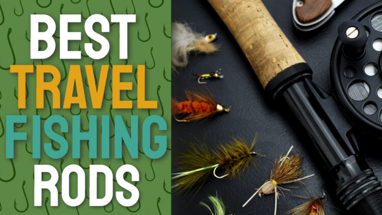 best travel fishing rods